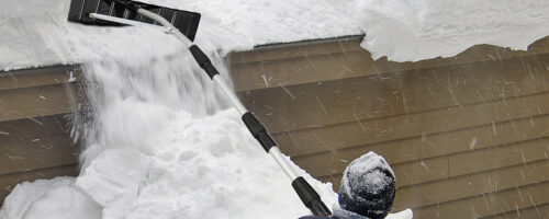 Snow Rakes