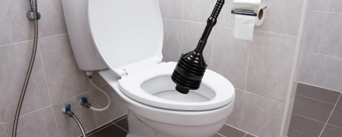 Toilet Plungers
