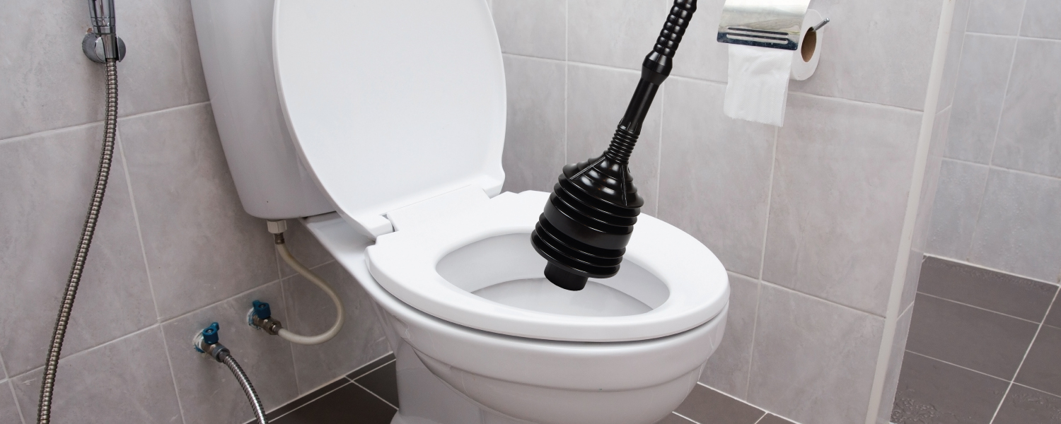 Toilet Plungers